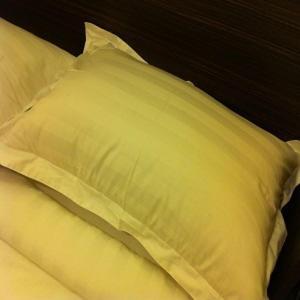 The Regency Garden Hotel Ipoh Dış mekan fotoğraf